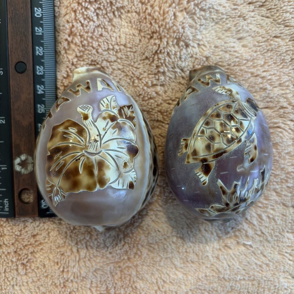 2 "Hawaii" Souvenir Carved Ocean Cowrie Tiger Shells Of A Turtle and A Hibiscus